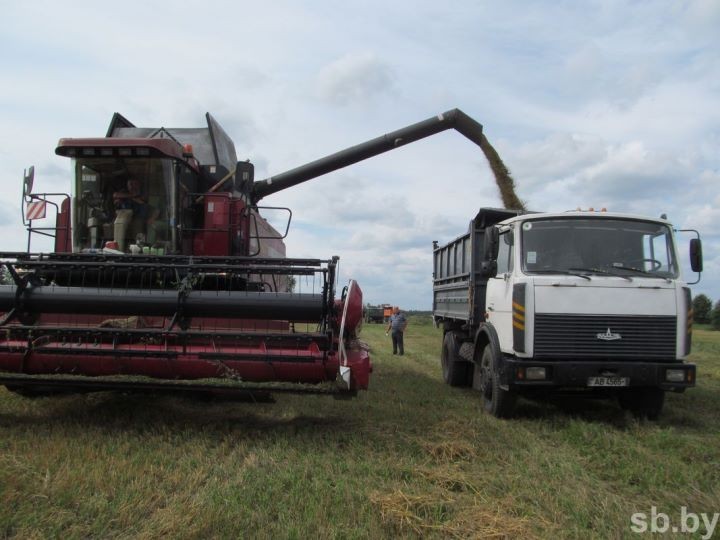 Уборочная кампания в Брестской области близится к завершению