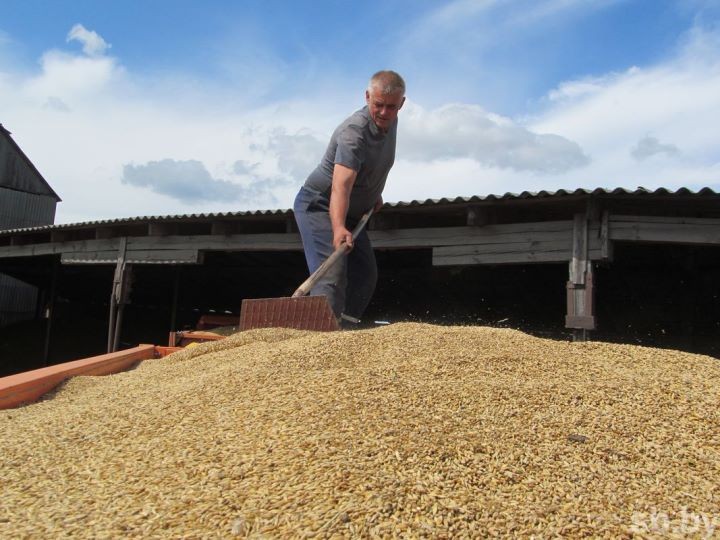 Уборочная кампания в Брестской области близится к завершению