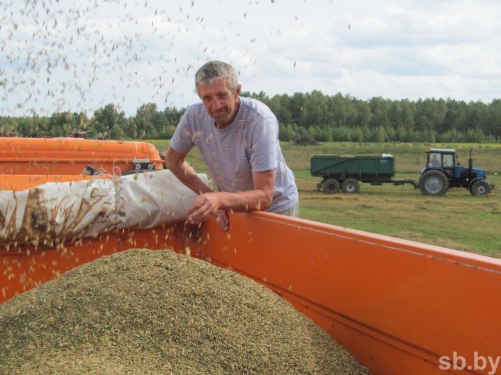 Уборочная кампания в Брестской области близится к завершению