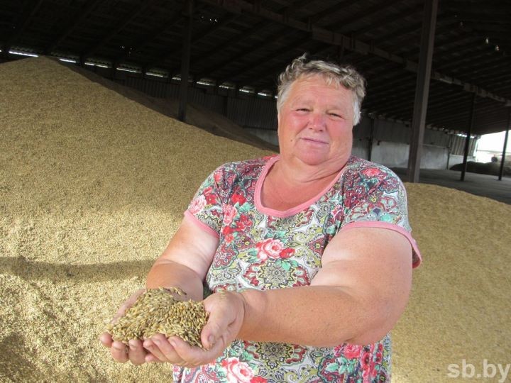 Уборочная кампания в Брестской области близится к завершению