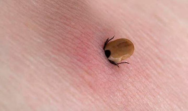 Фото из открытых источников (иллюстрация)