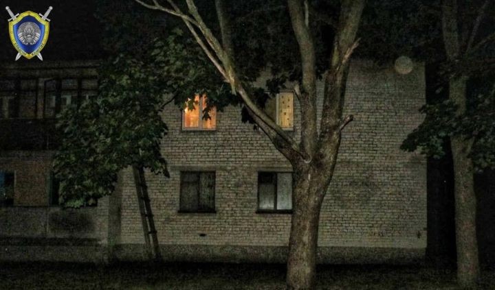 Трехлетняя девочка выпала из окна в Жабинковском районе