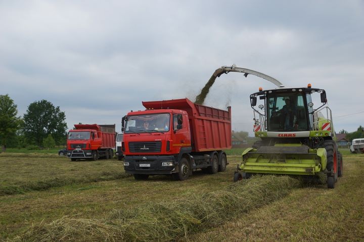 В Брестской области лидеры косовицы получают заслуженные награды