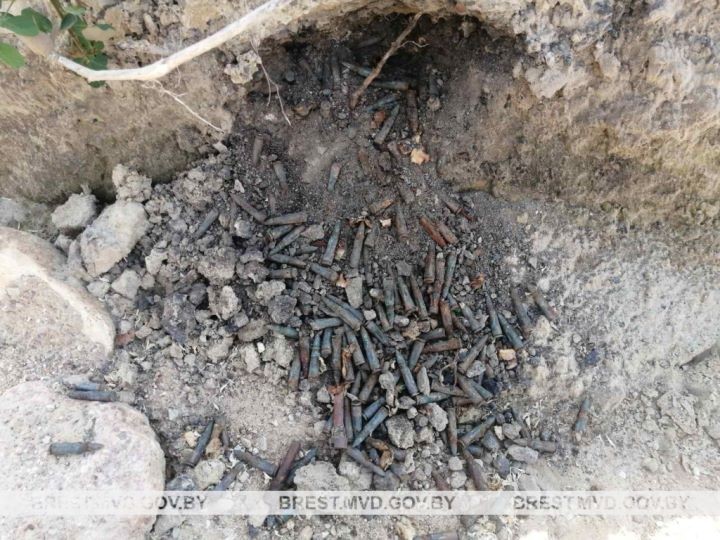 В Бресте обнаружили учебные патроны к автомату Калашникова