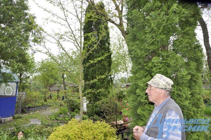 Гранат, хурма и инжир. Супруги выращивают на дачном участке экзотические растения