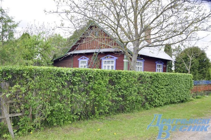 Гранат, хурма и инжир. Супруги выращивают на дачном участке экзотические растения