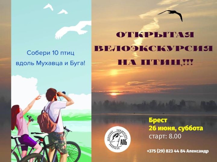 Птичья велоэкскурсия пройдет в Бресте!