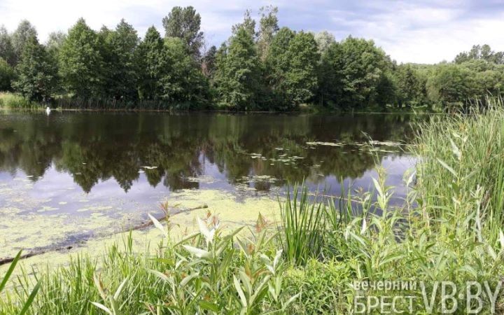 Здесь был пляж