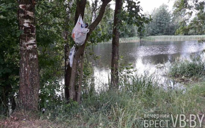 Здесь был пляж