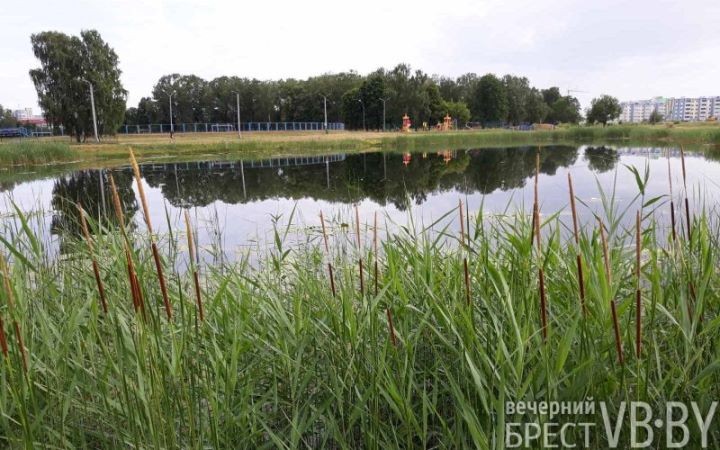 Здесь был пляж