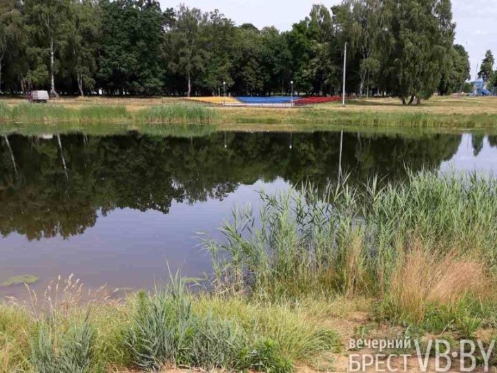 Здесь был пляж