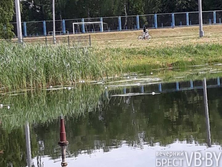 Здесь был пляж