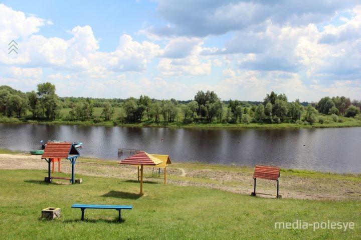 Прямо за городским пляжем местное хозяйство распахало пойму реки Горынь и посеяло там кукурузу.