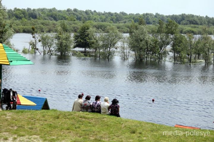 Прямо за городским пляжем местное хозяйство распахало пойму реки Горынь и посеяло там кукурузу.