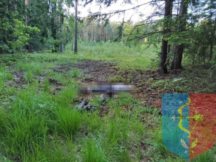 Пропавшего в Пинском районе пожилого мужчину нашли мертвым