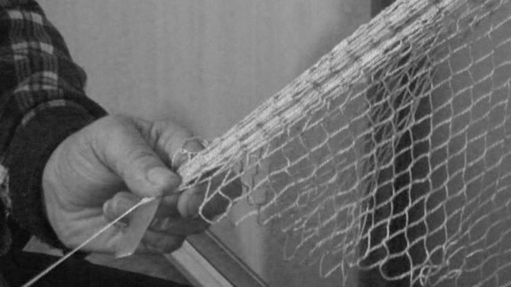 Фото из открытых источников (иллюстрация)