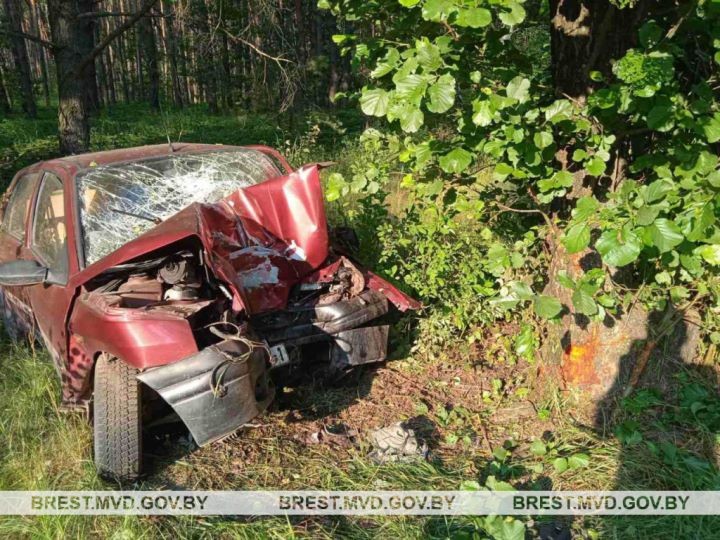 Парень из Бреста на легковушке съехал в кювет и врезался в дерево