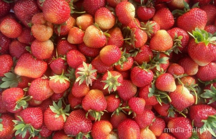 Клубника заканчивается. Берут даже по 3 рубля