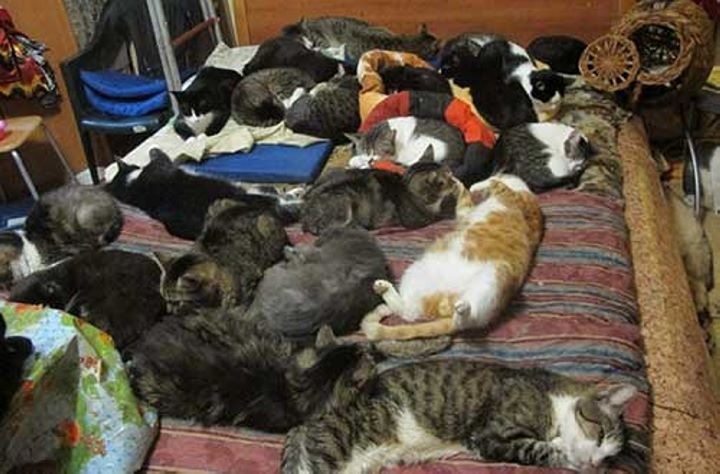 Фото из открытых источников (иллюстрация)