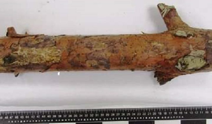 В Брестской области произошло убийство пенсионерки с особой жестокостью