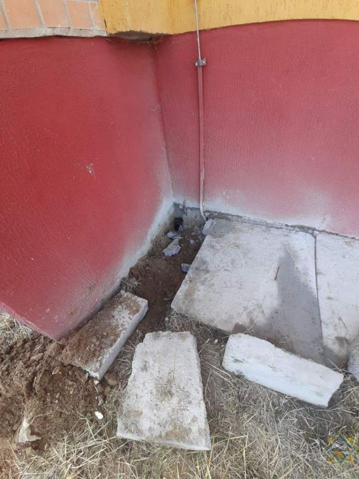 В Брестской области спасатели изловили змея