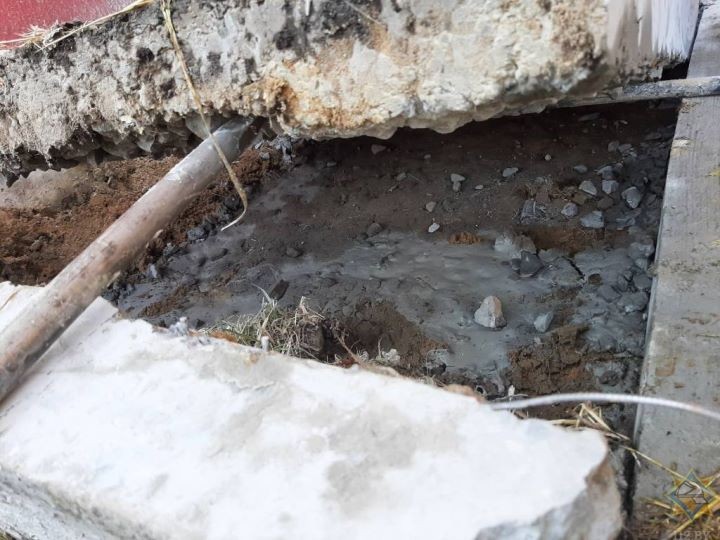 В Брестской области спасатели изловили змея