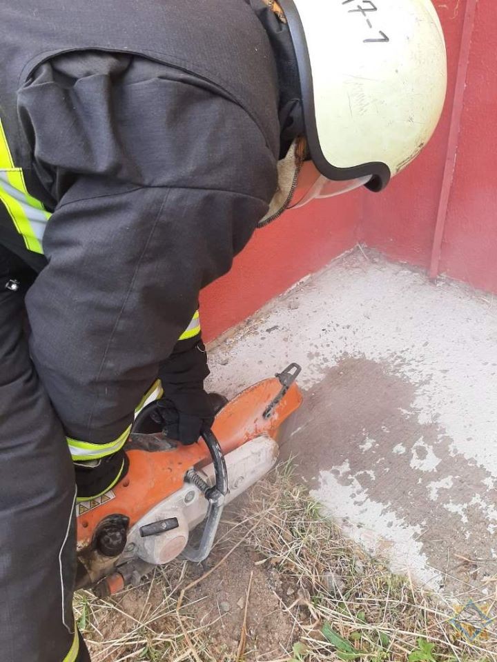 В Брестской области спасатели изловили змея