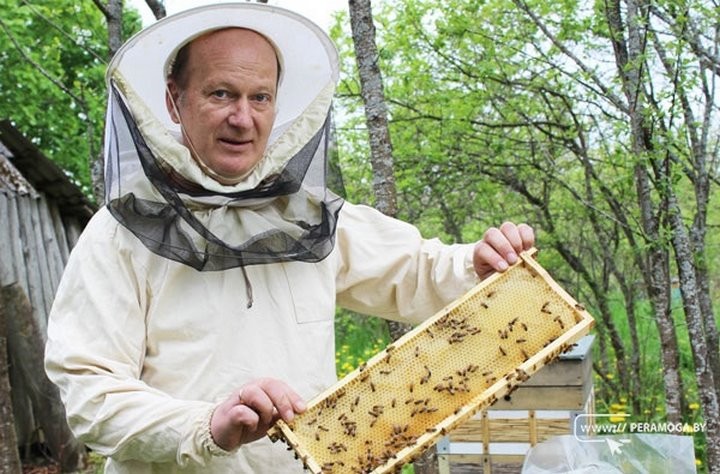 Узнали, где живет пчеловод, мед которого признан лучшим в Беларуси