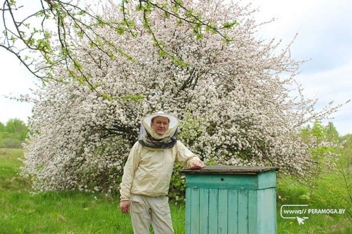 Узнали, где живет пчеловод, мед которого признан лучшим в Беларуси