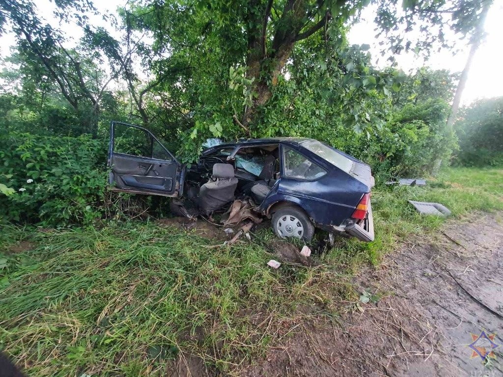 20-летний бесправник врезался в дерево в Кобринском районе