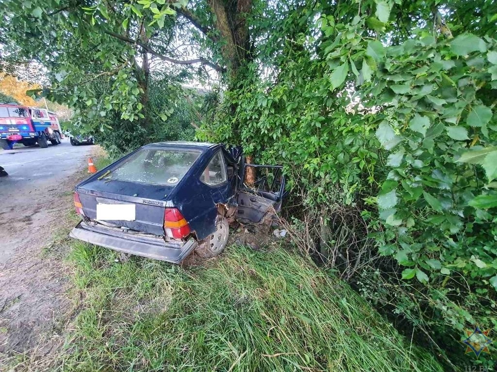 20-летний бесправник врезался в дерево в Кобринском районе