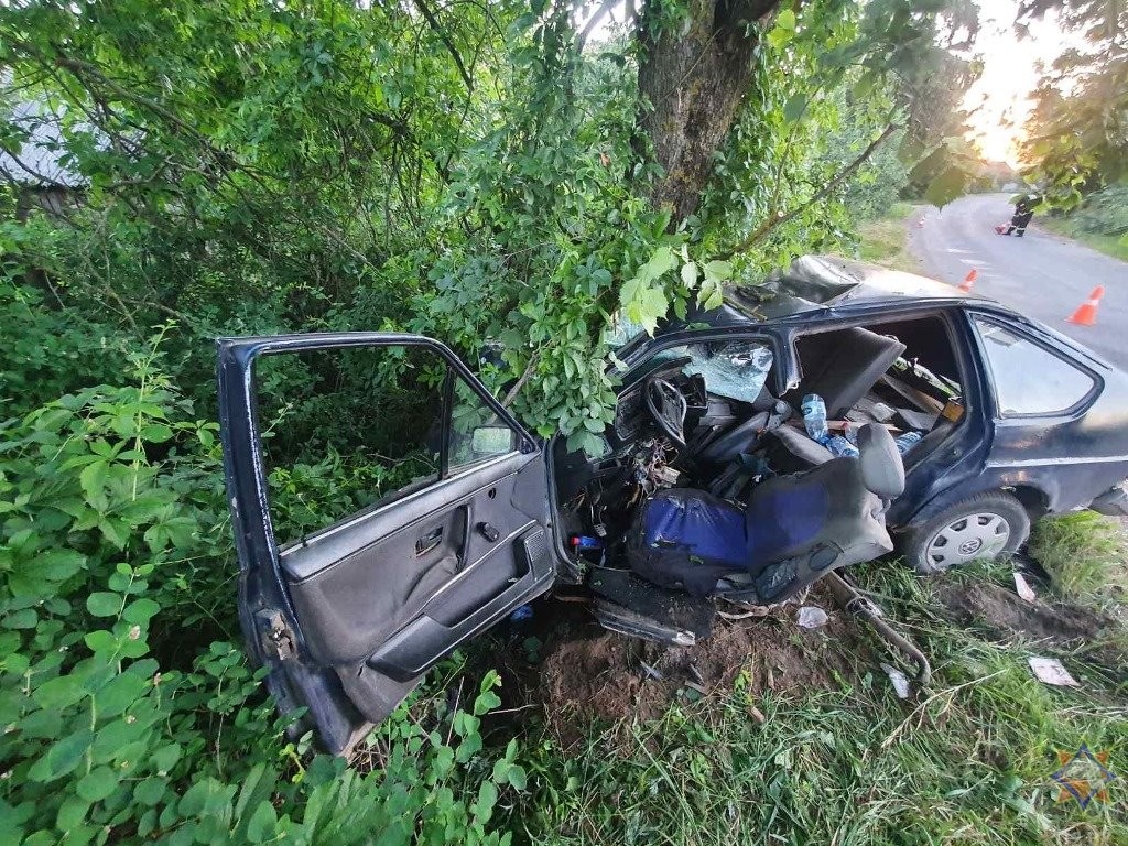 20-летний бесправник врезался в дерево в Кобринском районе