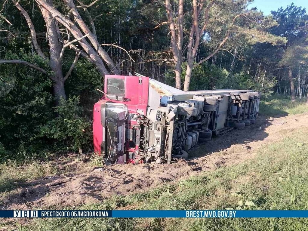Всё из-за лося. На М1 под Брестом фура «ушла» в кювет
