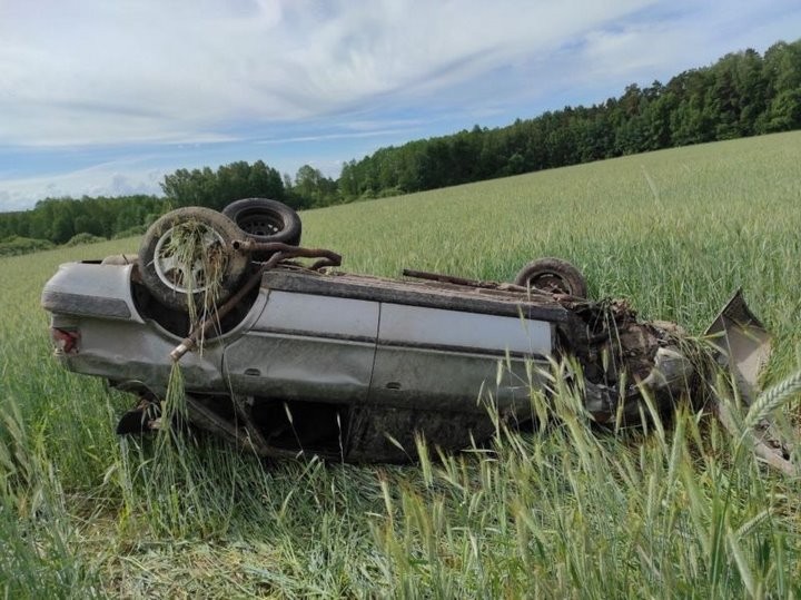 Вылетел из салона на 20 метров. Под Берестовицей водитель Audi получил тяжелые травмы, избегая столкновения с косулей