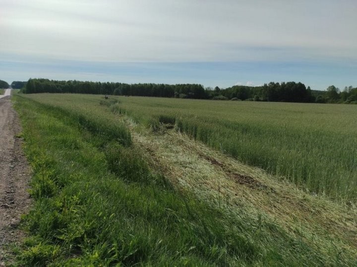 Вылетел из салона на 20 метров. Под Берестовицей водитель Audi получил тяжелые травмы, избегая столкновения с косулей