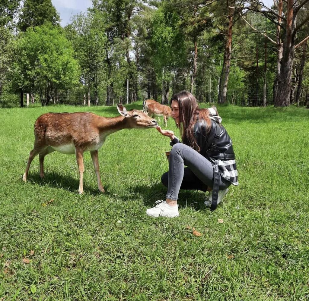 Летний сезон! Два парка! Редкие животные и птицы в «Диприз»!