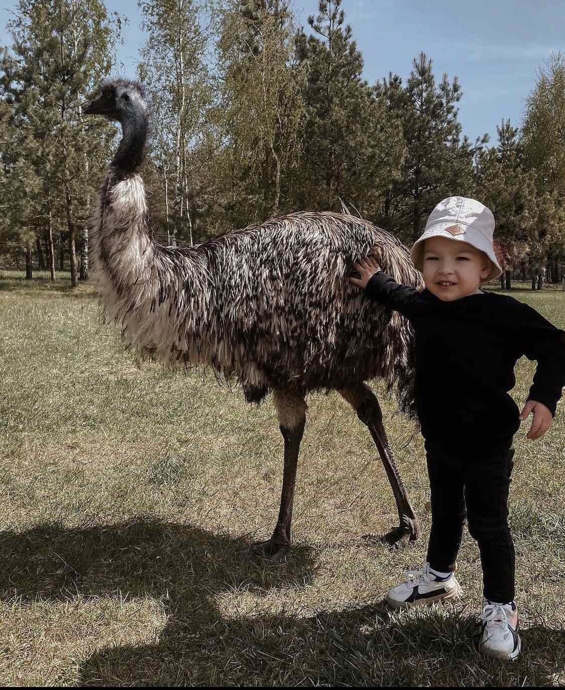 Летний сезон! Два парка! Редкие животные и птицы в «Диприз»!