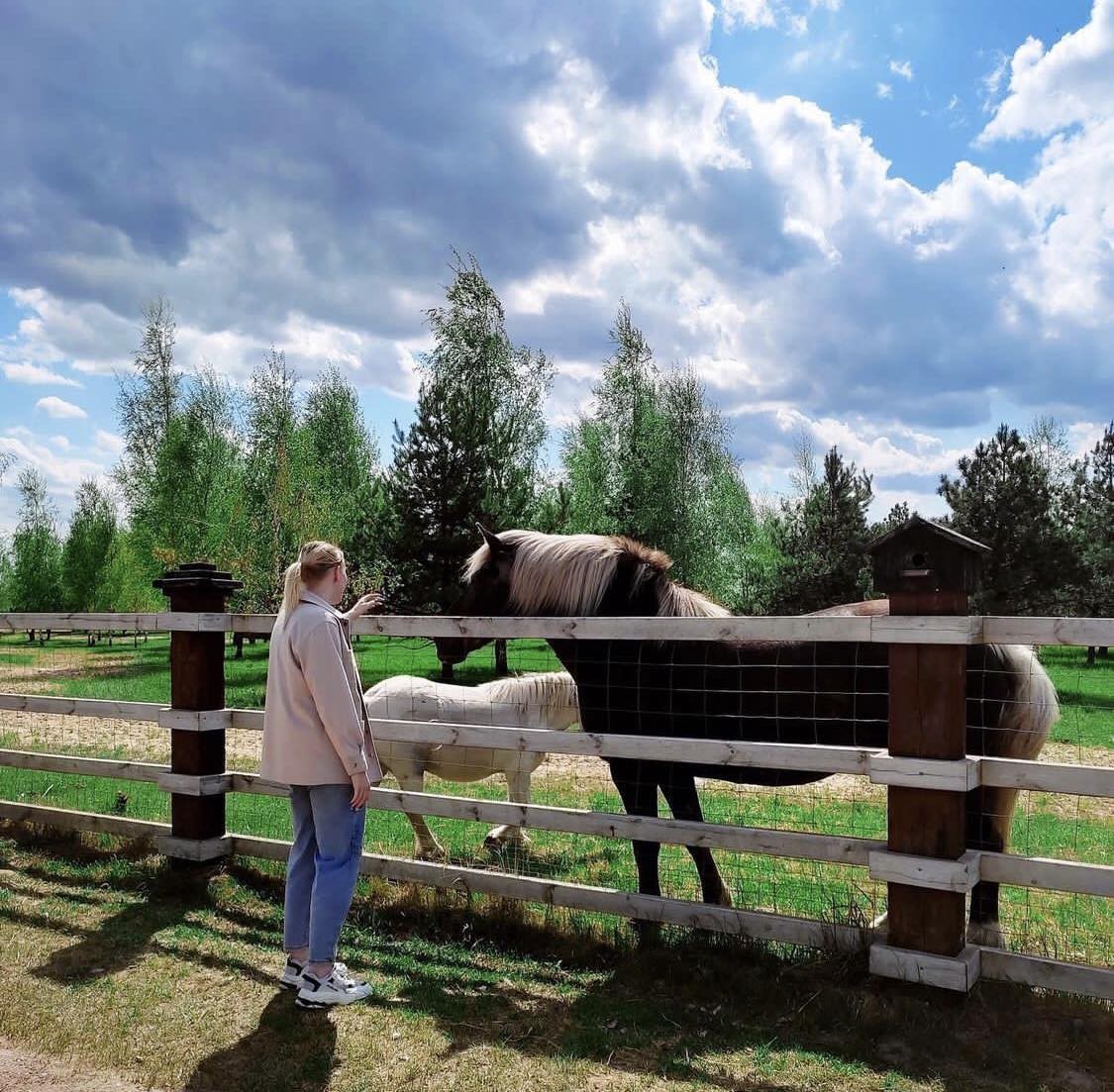 Летний сезон! Два парка! Редкие животные и птицы в «Диприз»!