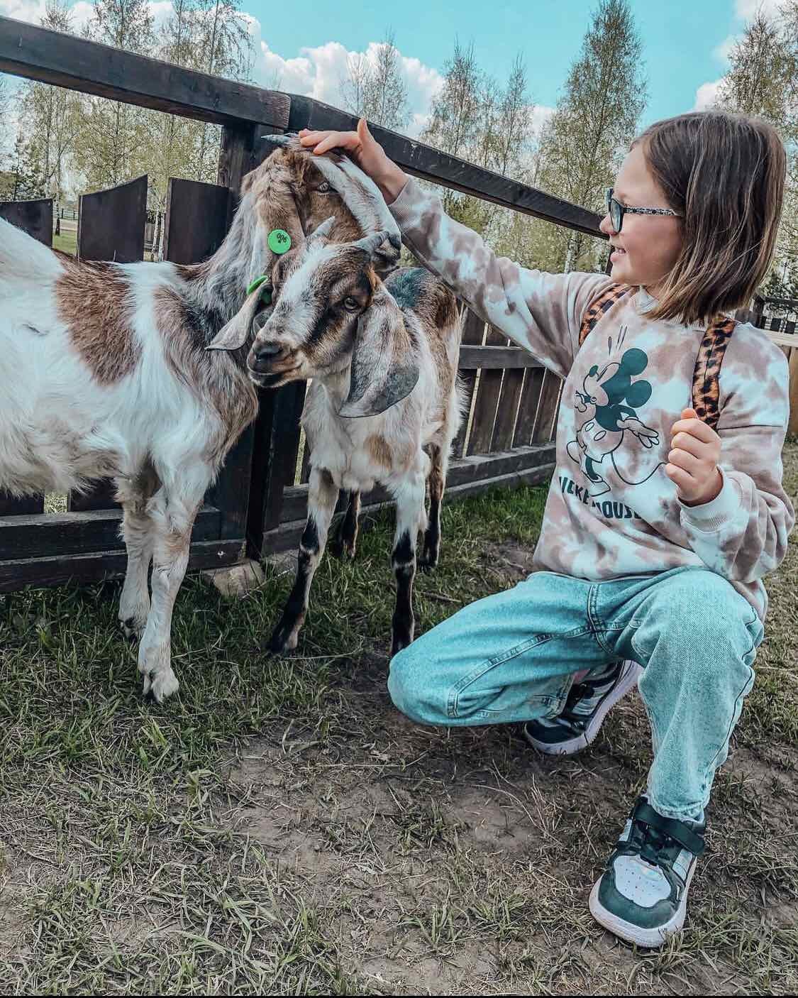 Летний сезон! Два парка! Редкие животные и птицы в «Диприз»!