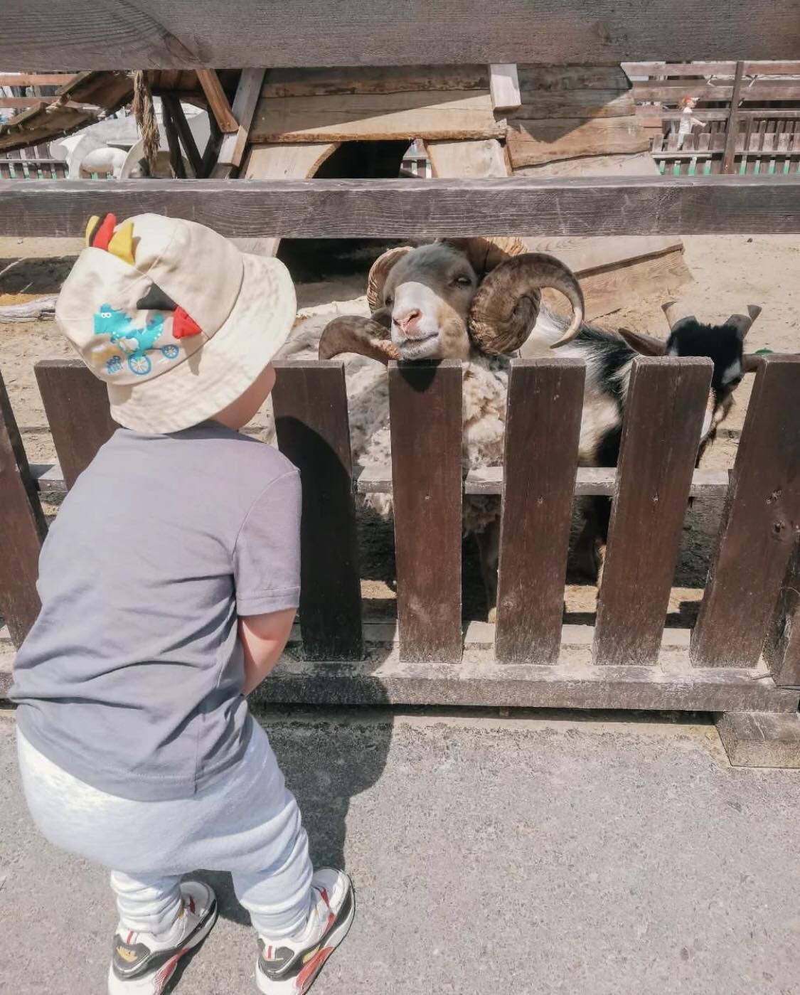 Летний сезон! Два парка! Редкие животные и птицы в «Диприз»!