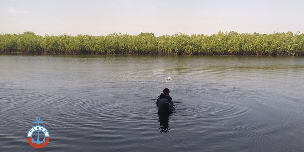 В Беларуси дедушка и внук загадочно погибли: тело мальчика обнаружили в затонувшем авто