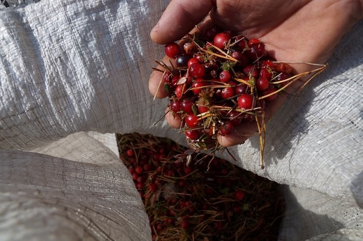 Фото из открытых источников (иллюстративное)