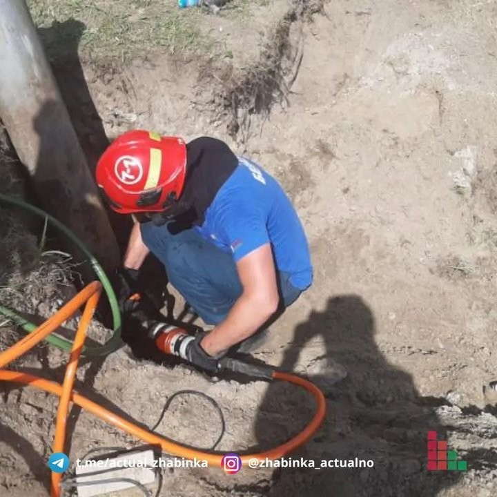 В Жабинке сотрудники МЧС спали щенка