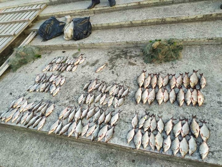 Незаконная рыбалка на гребной базе в Пинске закончилась возбуждением уголовного дела