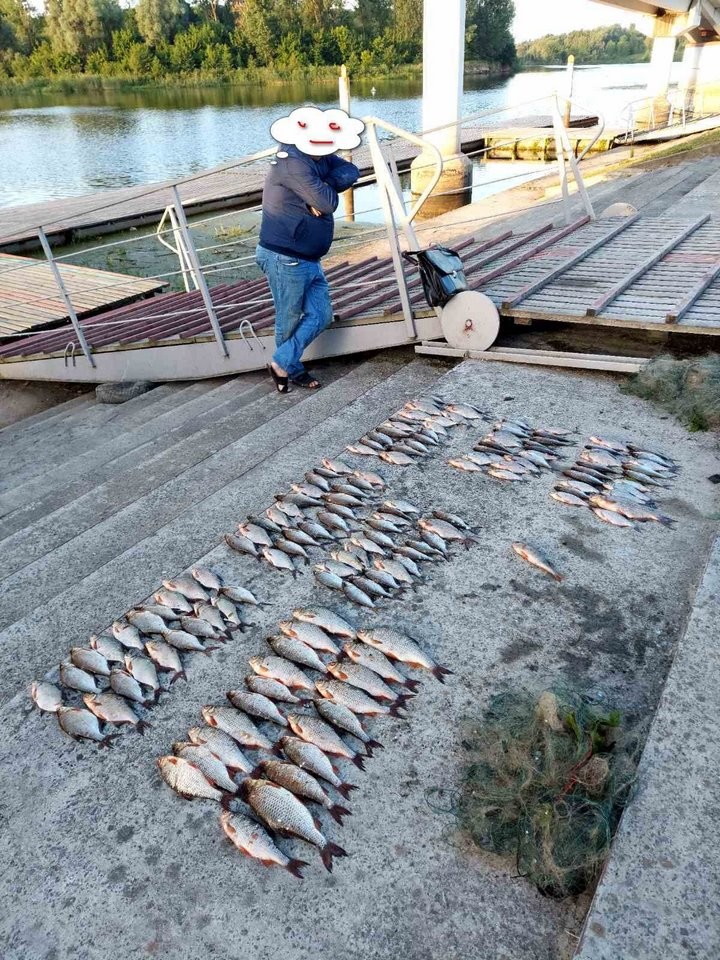 Незаконная рыбалка на гребной базе в Пинске закончилась возбуждением уголовного дела