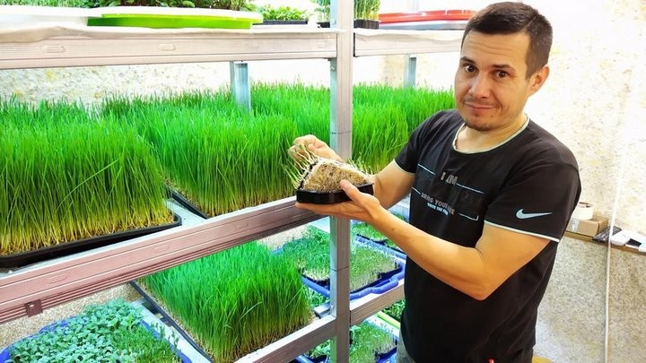 «С финансированием фермы помогла теща». Посмотрите, как гомельчанин зарабатывает на микрозелени