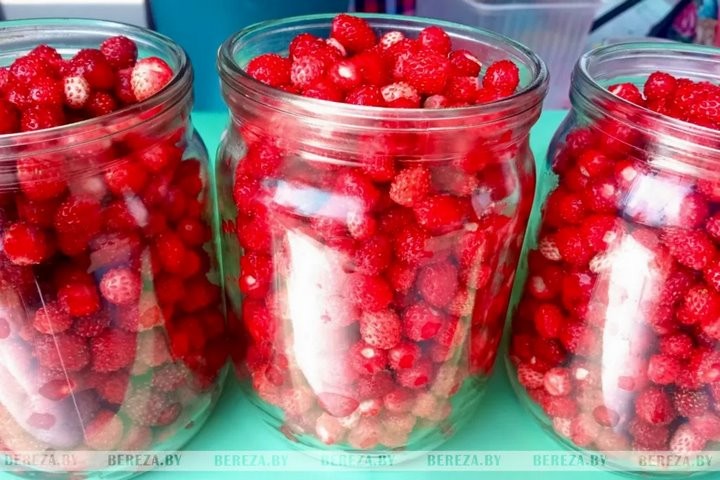 Первые лесные ягоды появились на рынке в Березе