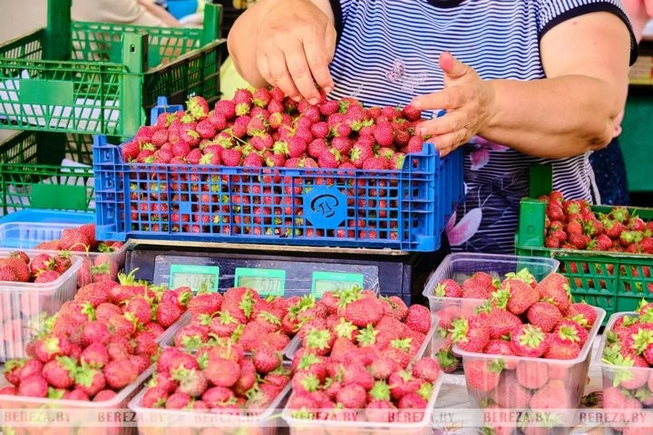 Первые лесные ягоды появились на рынке в Березе
