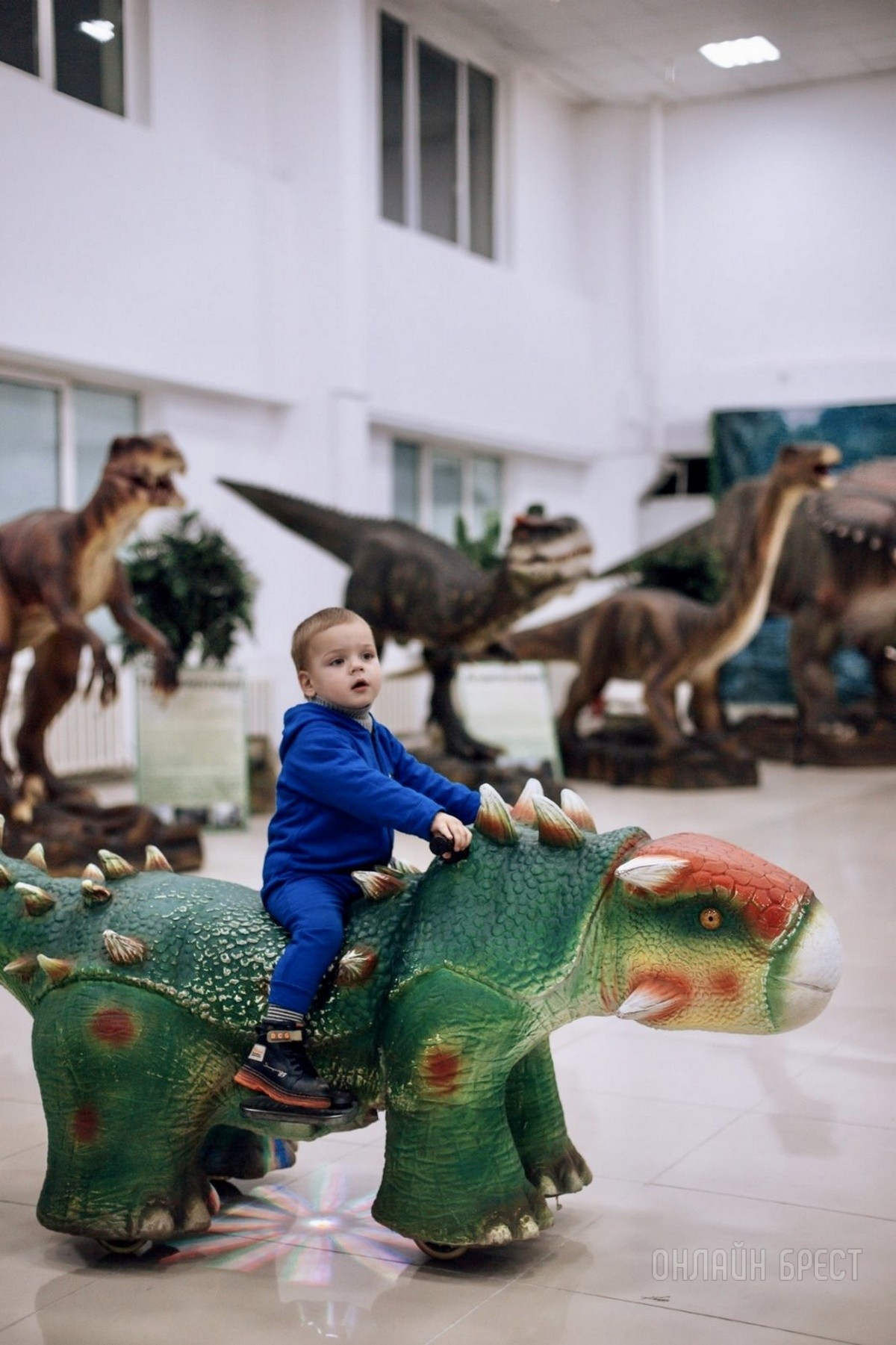 Жаркое лето в большом парке динозавров! Весело проведите время всей семьей в «Динолэнд» в Бресте