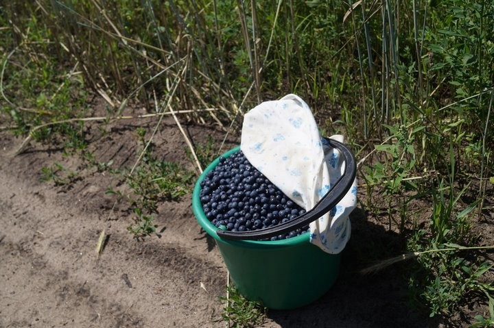 Фото из открытых источников (иллюстративное)